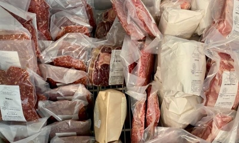 resources of Boer Goats, live sheep &amp; Live Goats, Dorpers, Kalahari Reds, Saanen, Merinos &amp; cattle, Sheep &amp; beef slaughter and fattening bulls exporters