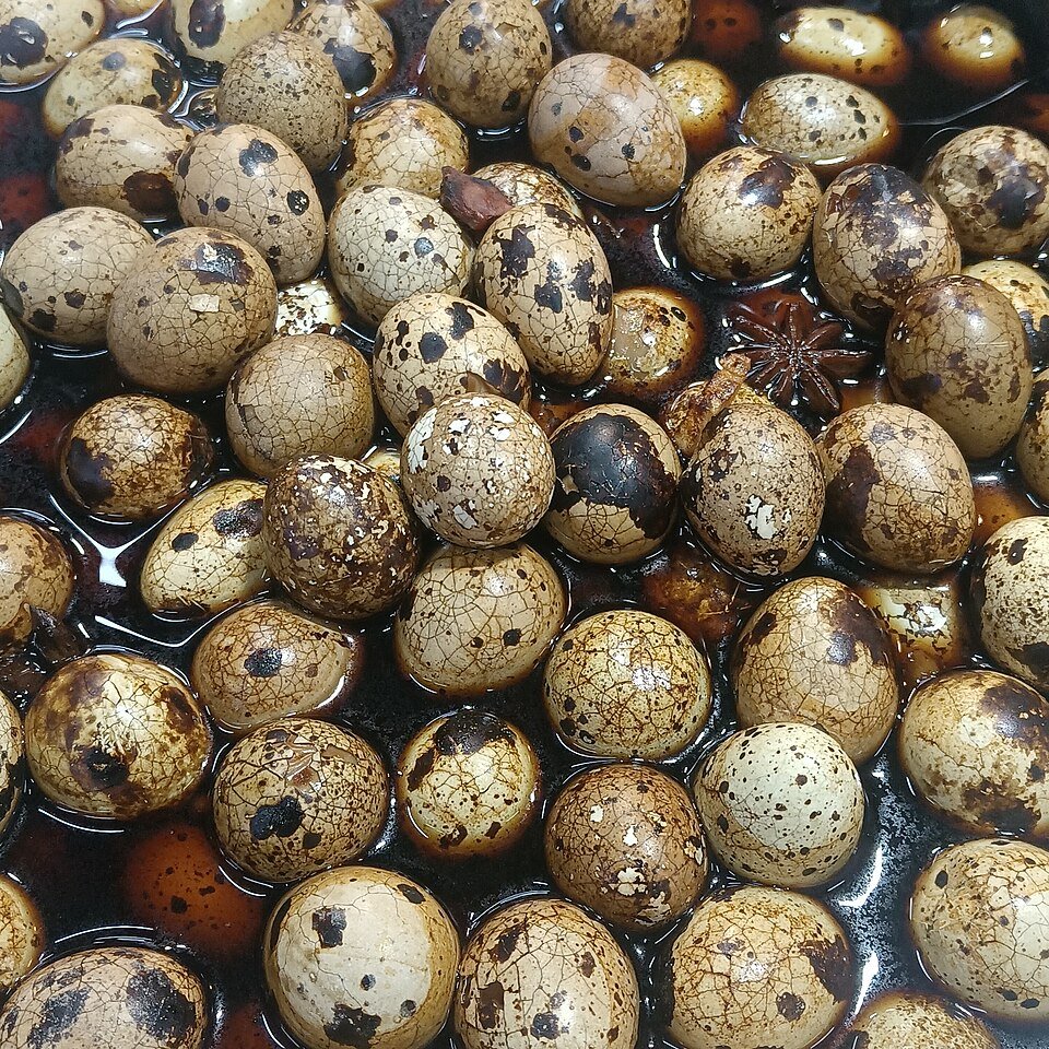 resources of Quail eggs exporters
