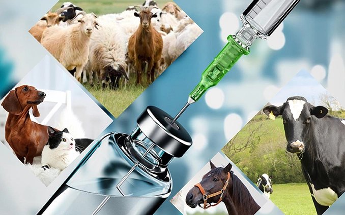 resources of 7'' waterproof veterinary ultrasound for bovine exporters
