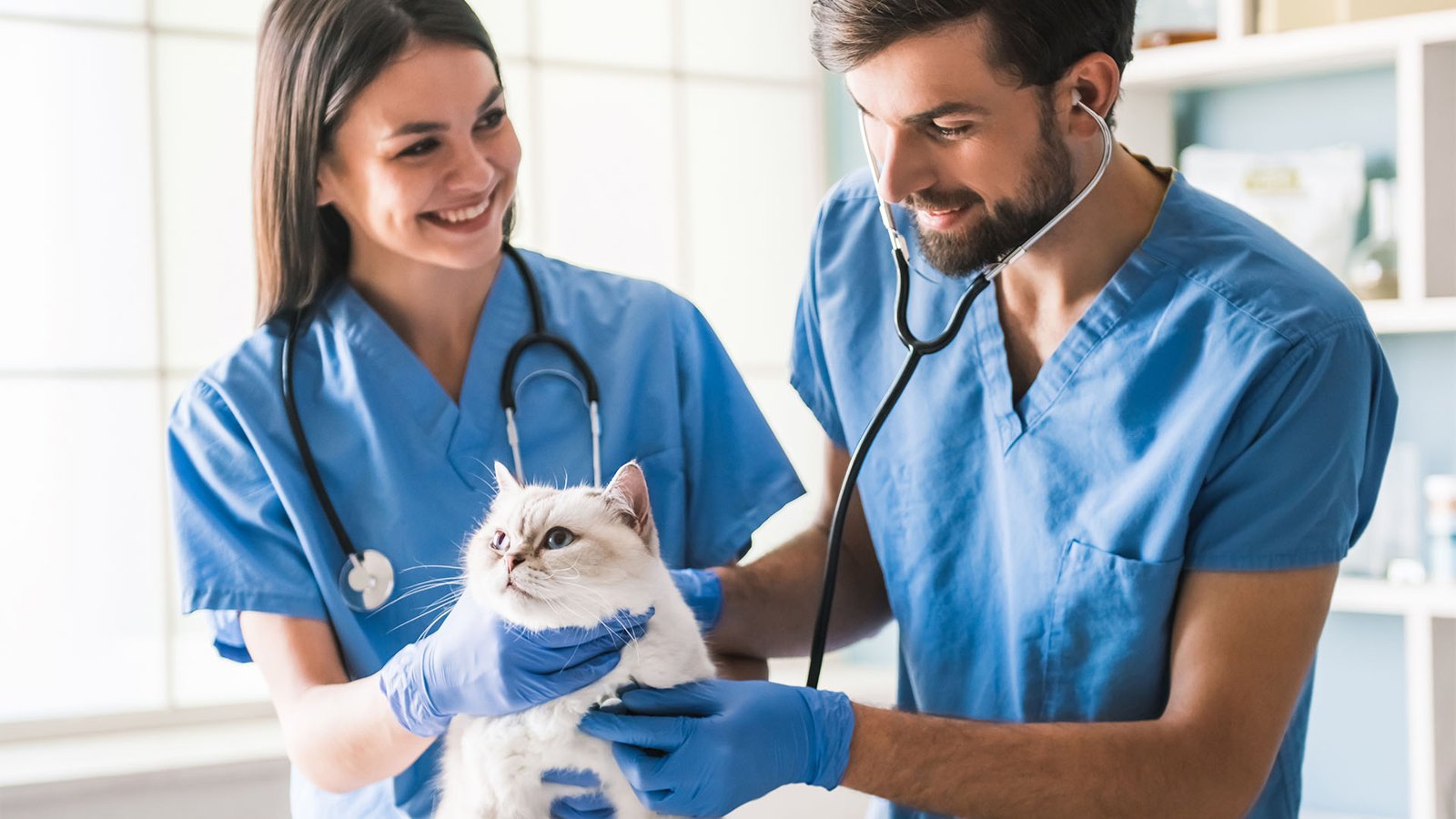 resources of Complete Pet Health exporters