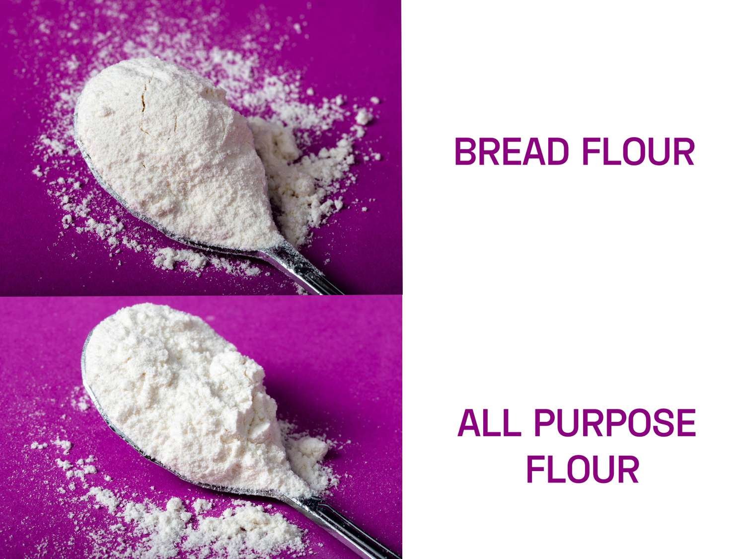 resources of Grapessed Powder/flour exporters