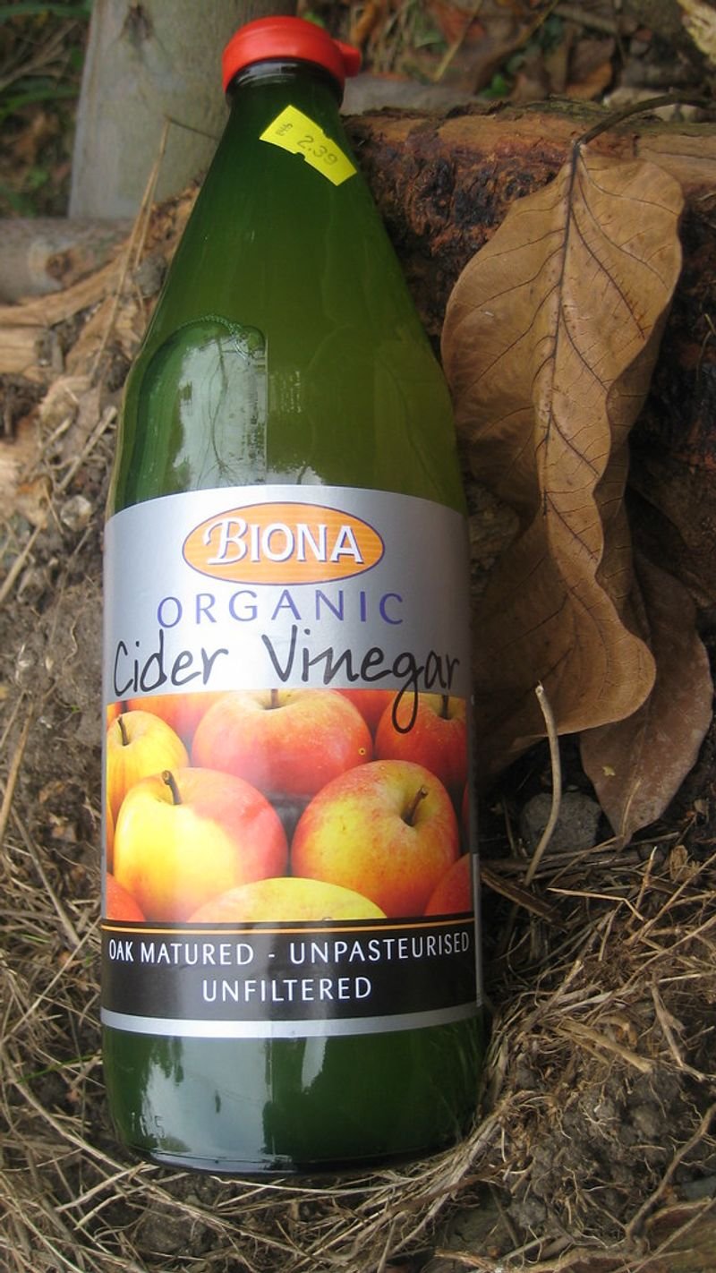 resources of Apple Cider Vinegar with Ginger, Garlic, Lemon, and Arjuna 500ML (ACV HRT PLUS) (Dr. Patkar's) exporters