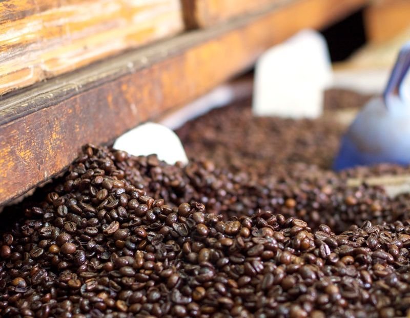 resources of Balinese Vanilla Bean exporters
