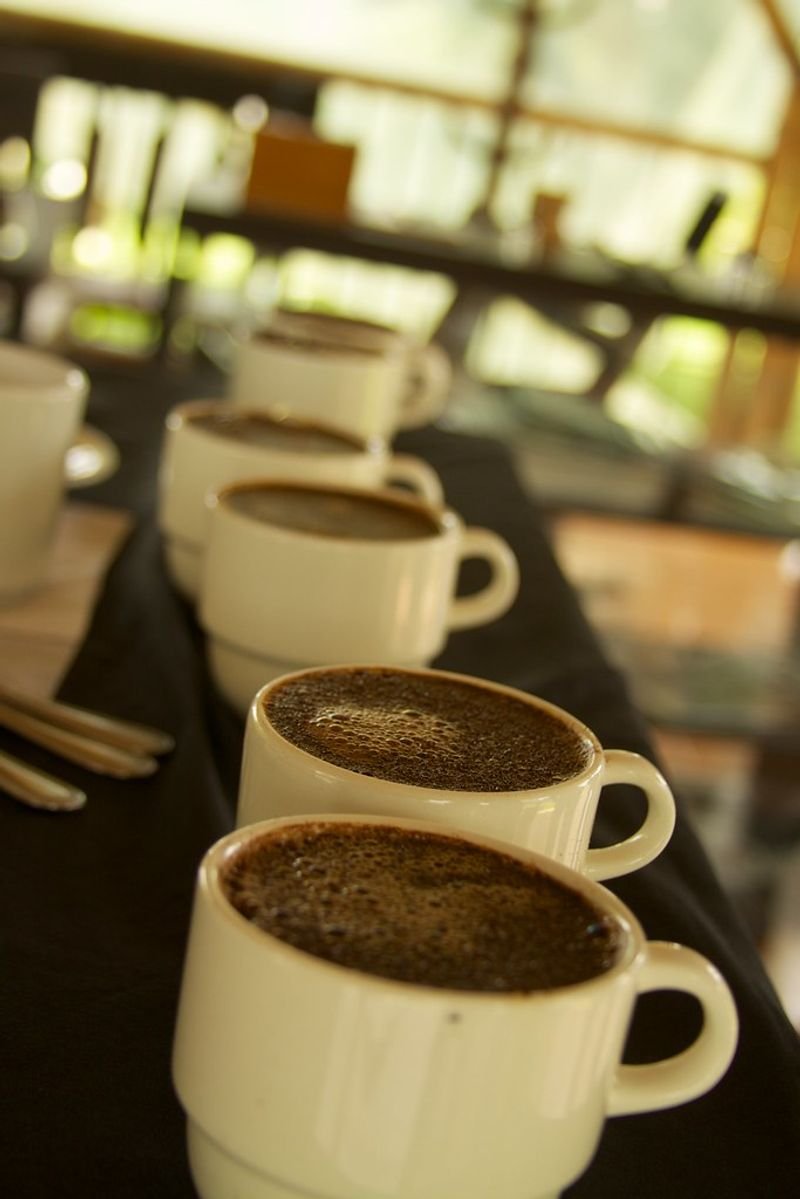 resources of Arabica Lintong Grade 5 exporters