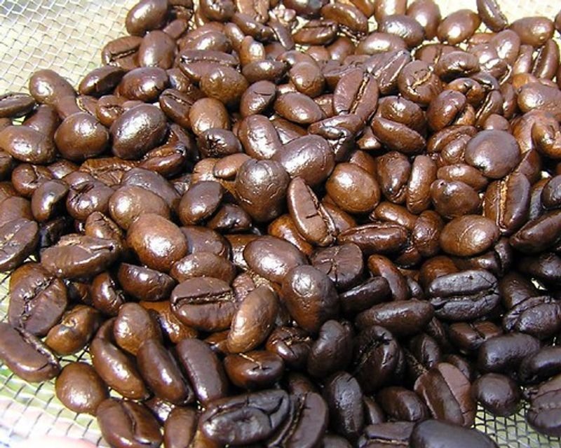 resources of Arabica Lintong  Grade  1 exporters