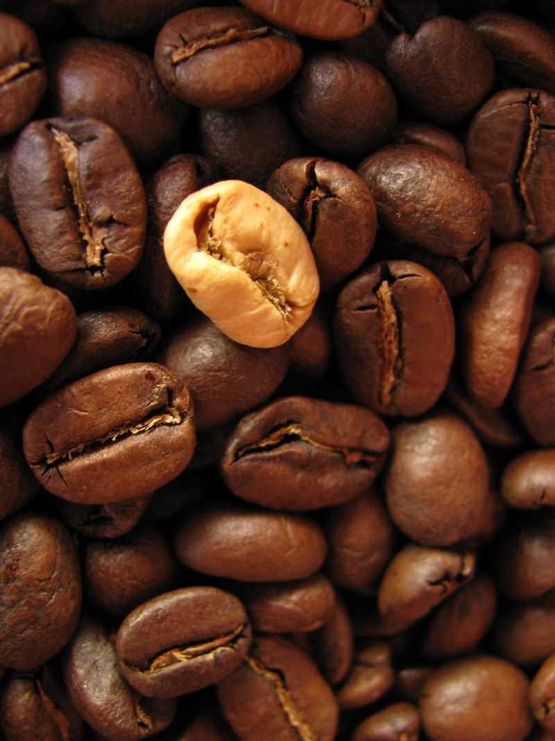 resources of Arabica - Sumatera Green Coffee Beans - G.1 exporters