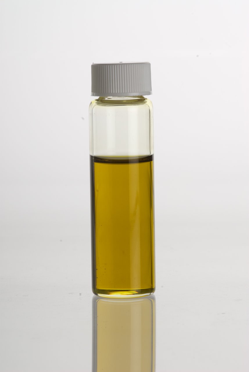 resources of Kingdom Premium Avocado Oil exporters