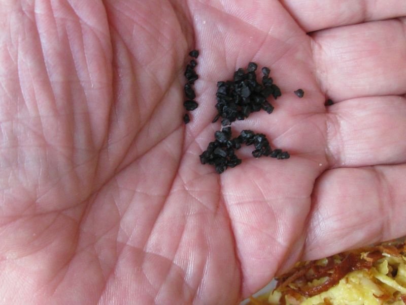 resources of Truffle "caviar exporters