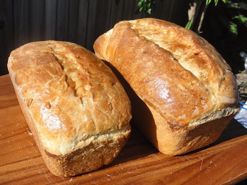 resources of Micro perforated bread bag exporters