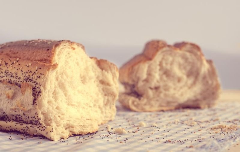 resources of Cactus Oatmeal Bread exporters