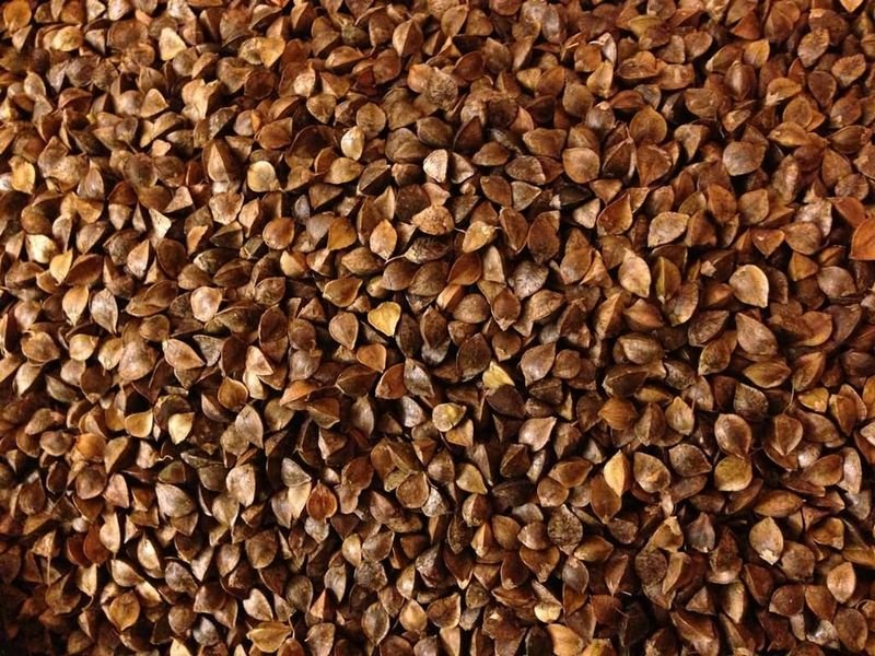 resources of Buckwheat exporters resources of Buckwheat exporters