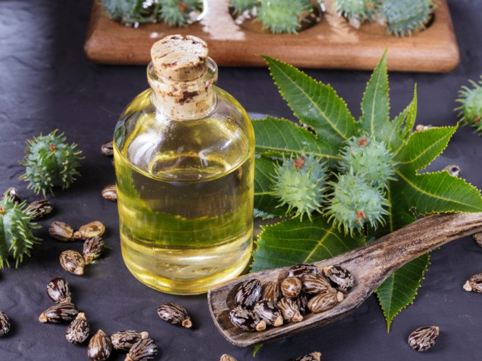 resources of Virgin Castor Oil EP Grade exporters