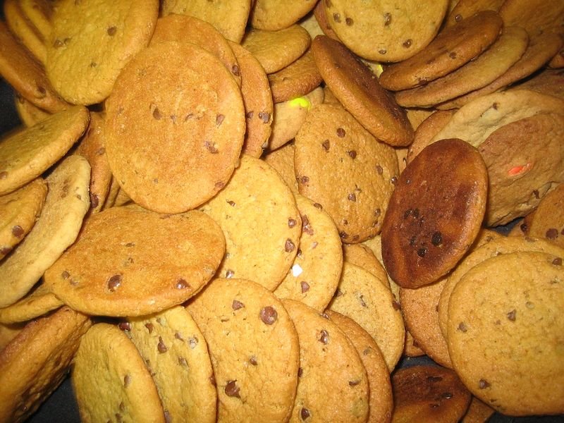 resources of French fries and potato chips making machines exporters