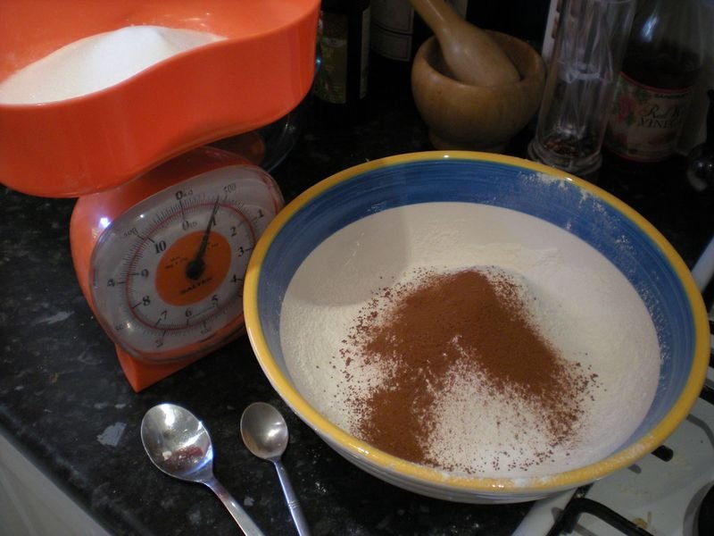 resources of COCOA BEAN & COCOA POWDER exporters