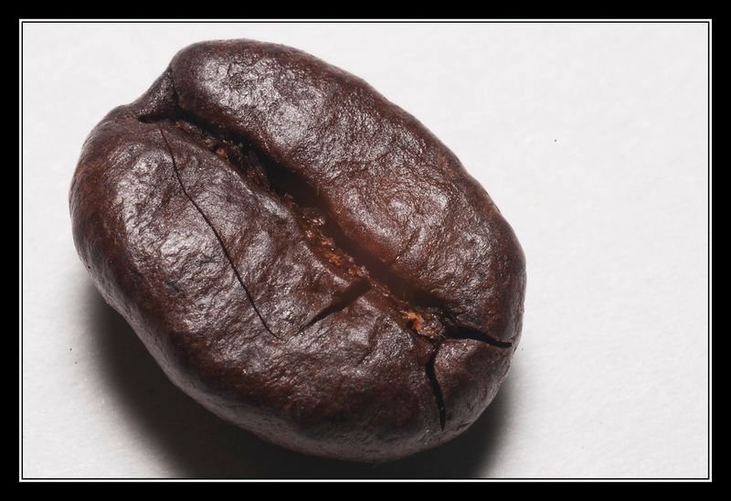 resources of Robusta Coffee (Green Bean) exporters