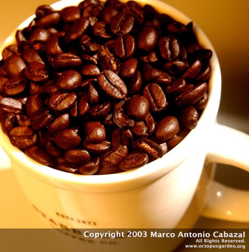 resources of Arabica Green Coffee Beans S14 (Washed) exporters