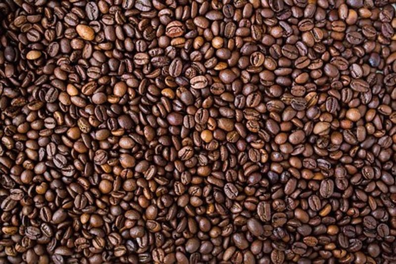resources of Arabica Green Coffee Beans S16 (Unwashed) exporters