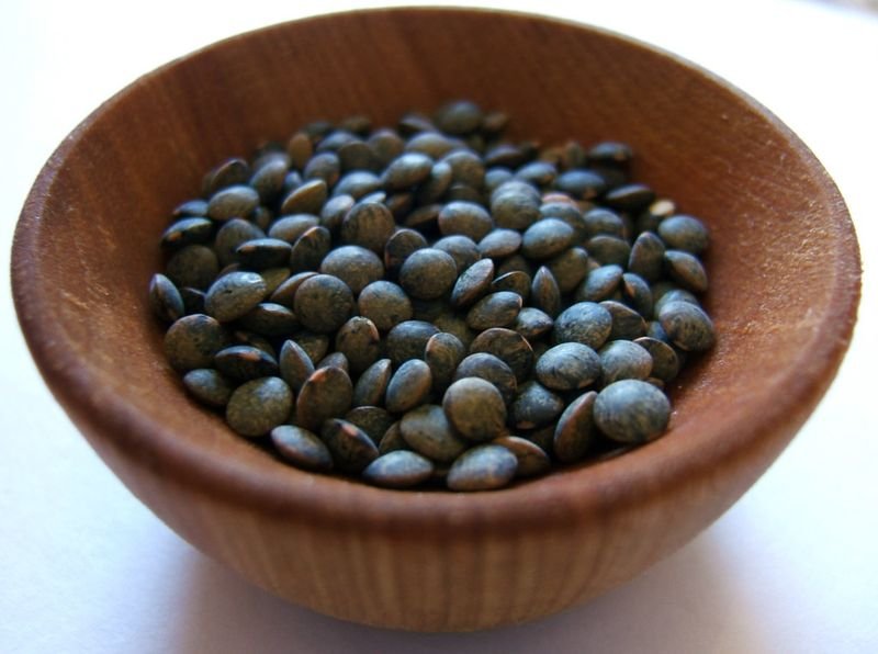 resources of Black chickpeas exporters
