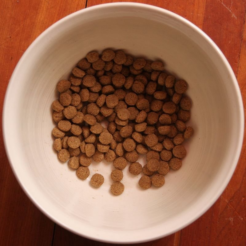 resources of Wild Civet Specialty Arabica Coffee Beans exporters