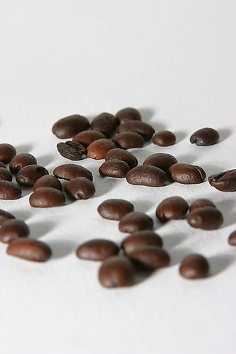 resources of Robusta Green Coffee Beans S13 Unwashed exporters