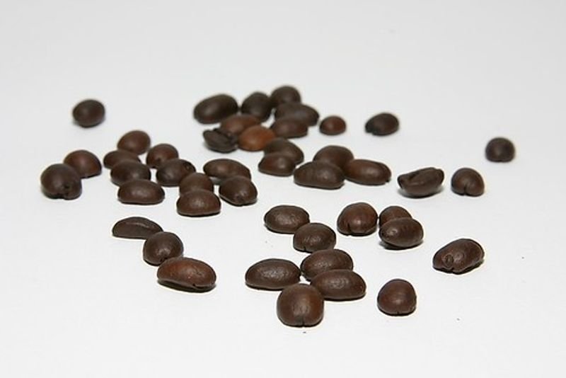 resources of Robusta coffee  (Roast Bean) exporters