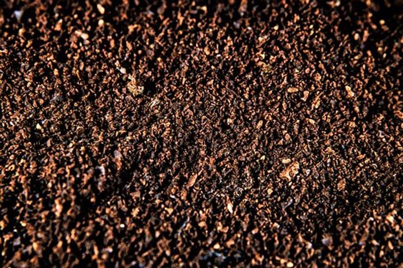 resources of HUMIKON – Premium Natural Leonardite & Solid Organic Soil Conditioner (40% Humic Acid) exporters
