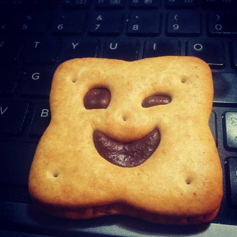 resources of Biscuit exporters