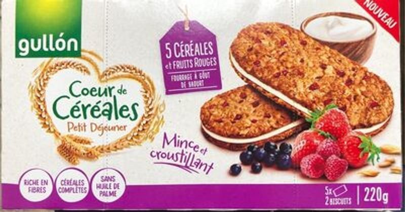 resources of Monde Raisin Soft Cookies exporters resources of Monde Raisin Soft Cookies exporters