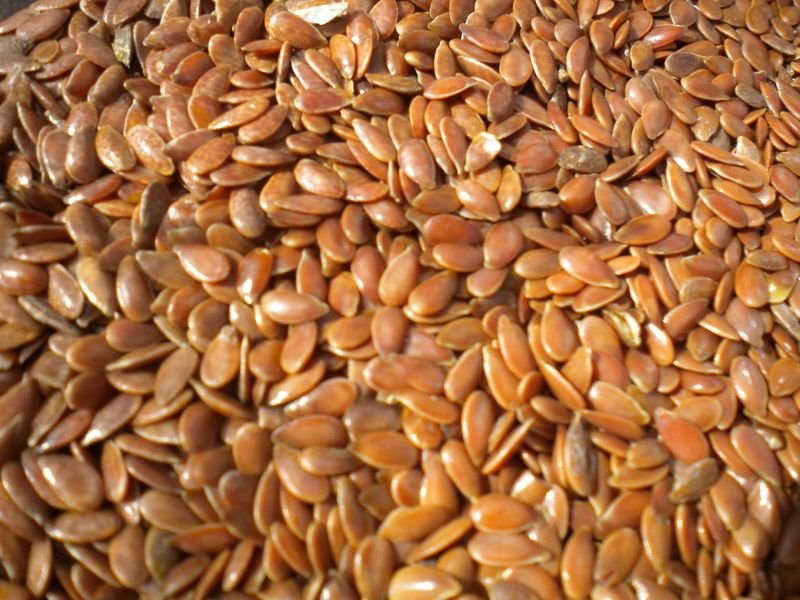 resources of Brown Linseed Flaxseed exporters