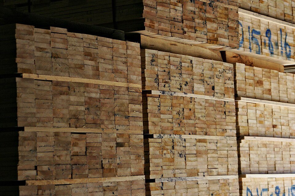 resources of Rain Forest Gold exporters