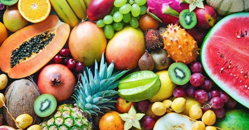 resources of Fruit Concentrate exporters