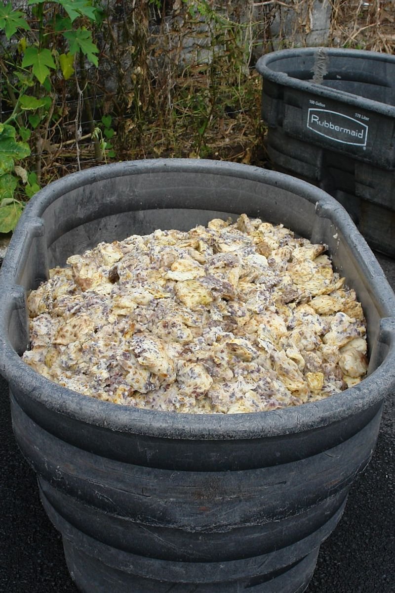 resources of Aseptic Mango Pulp Tank 204 Kg exporters