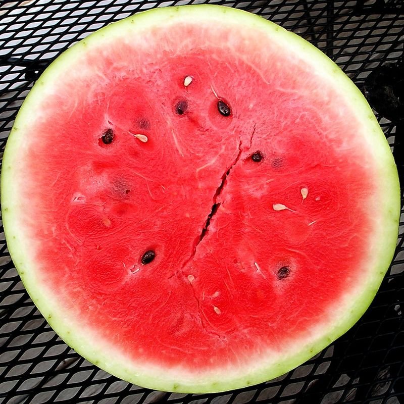 resources of Melon exporters