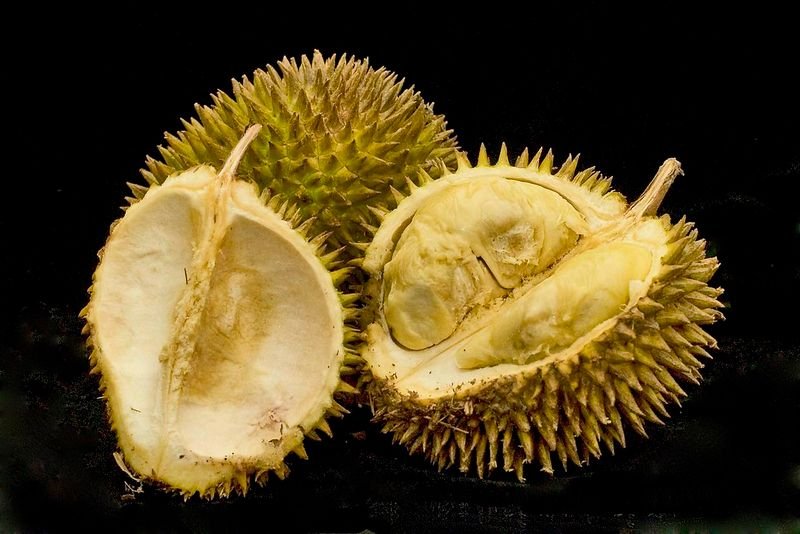 resources of Durian Pulp Seedless exporters