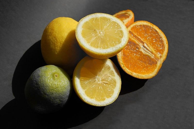 resources of Orange Fruits / Limes / Citrus / Lemon exporters