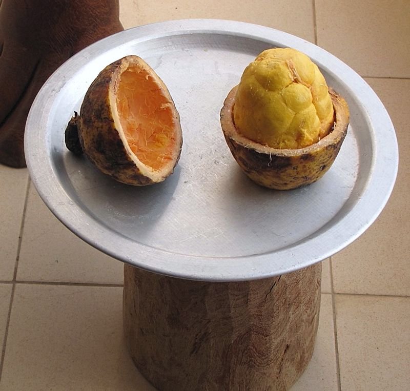 resources of 4" Areca Leaf Round Bowl exporters