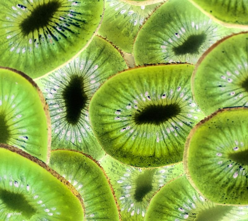 resources of Fresh Kiwi Fruits exporters