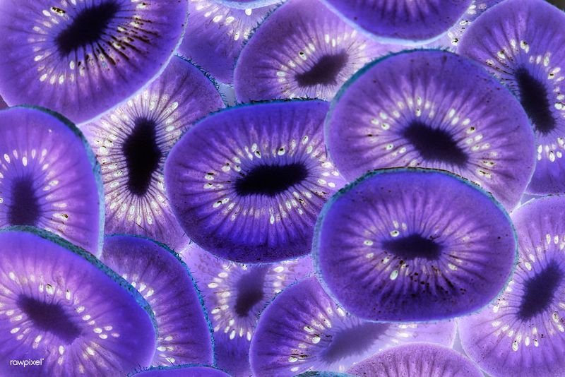 resources of STUNNING PURPLE Tiles exporters