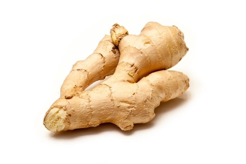resources of Tulsi Ginger Green Tea exporters resources of Tulsi Ginger Green Tea exporters
