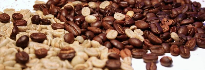 resources of Green Coffee Beans Arabic Coffee High Quality exporters resources of Green Coffee Beans Arabic Coffee High Quality exporters