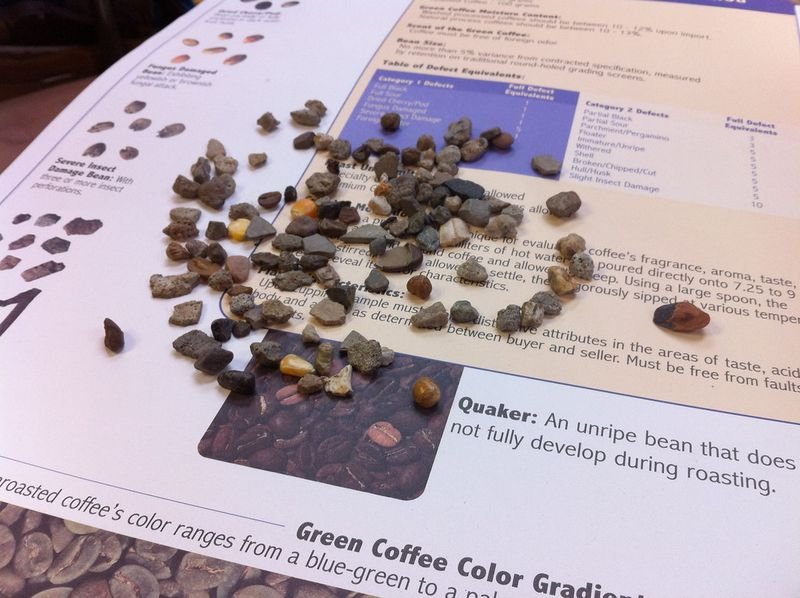 resources of Quality Arabica Green Coffee Beans exporters resources of Quality Arabica Green Coffee Beans exporters