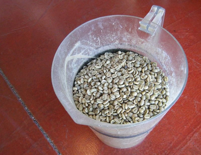 resources of Basic Love Bird Feed exporters