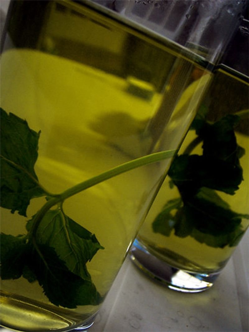 resources of basil oil exporters