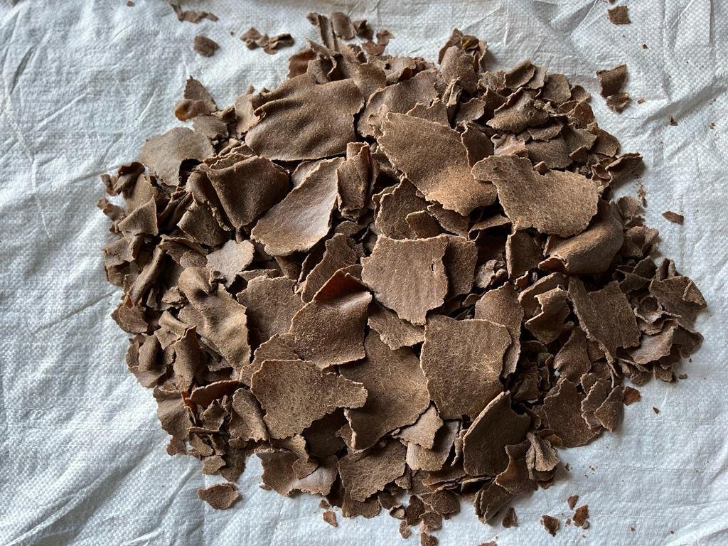 resources of Hibiscus Dried Leaves exporters