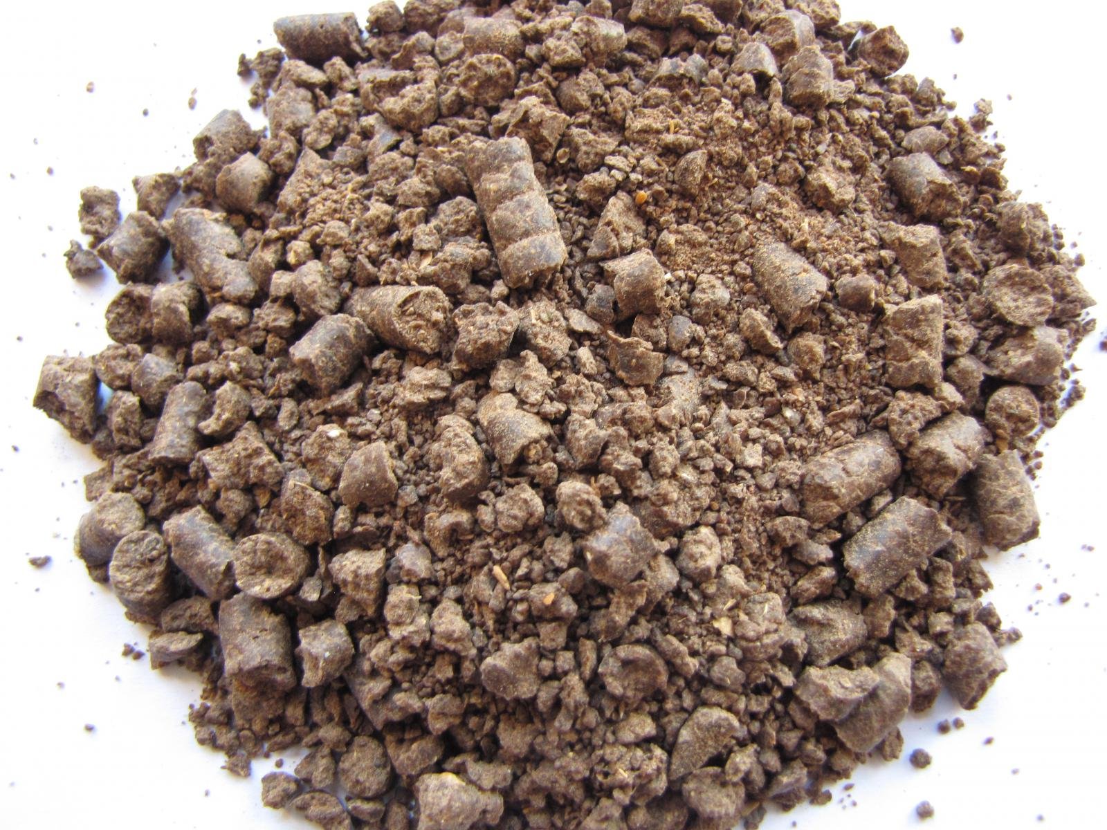resources of Cloves Powder exporters