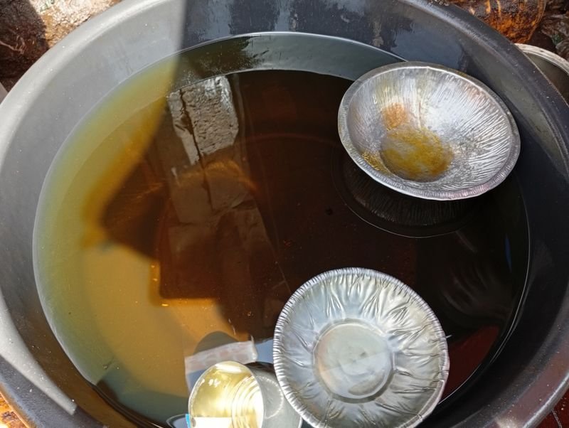 resources of Longan in Syrup exporters