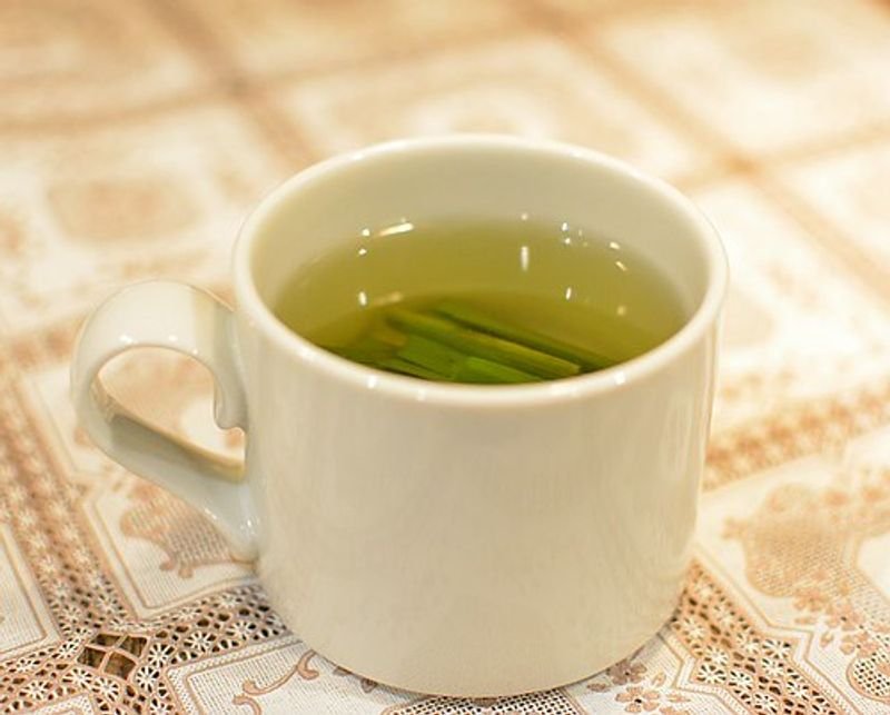 resources of Moringa Drip Tea exporters