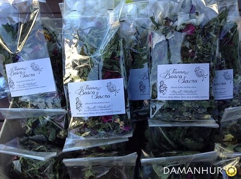 resources of Daisy Chamobile Flower exporters