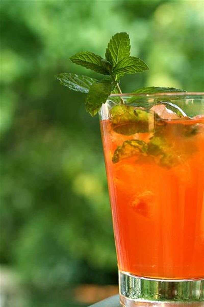 resources of Mint & Mango Mojito Sparkling Water exporters
