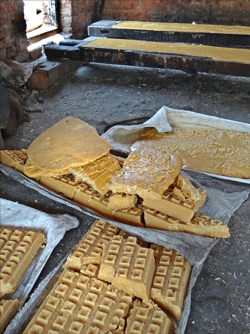 resources of Greek Traditional Cheeses exporters